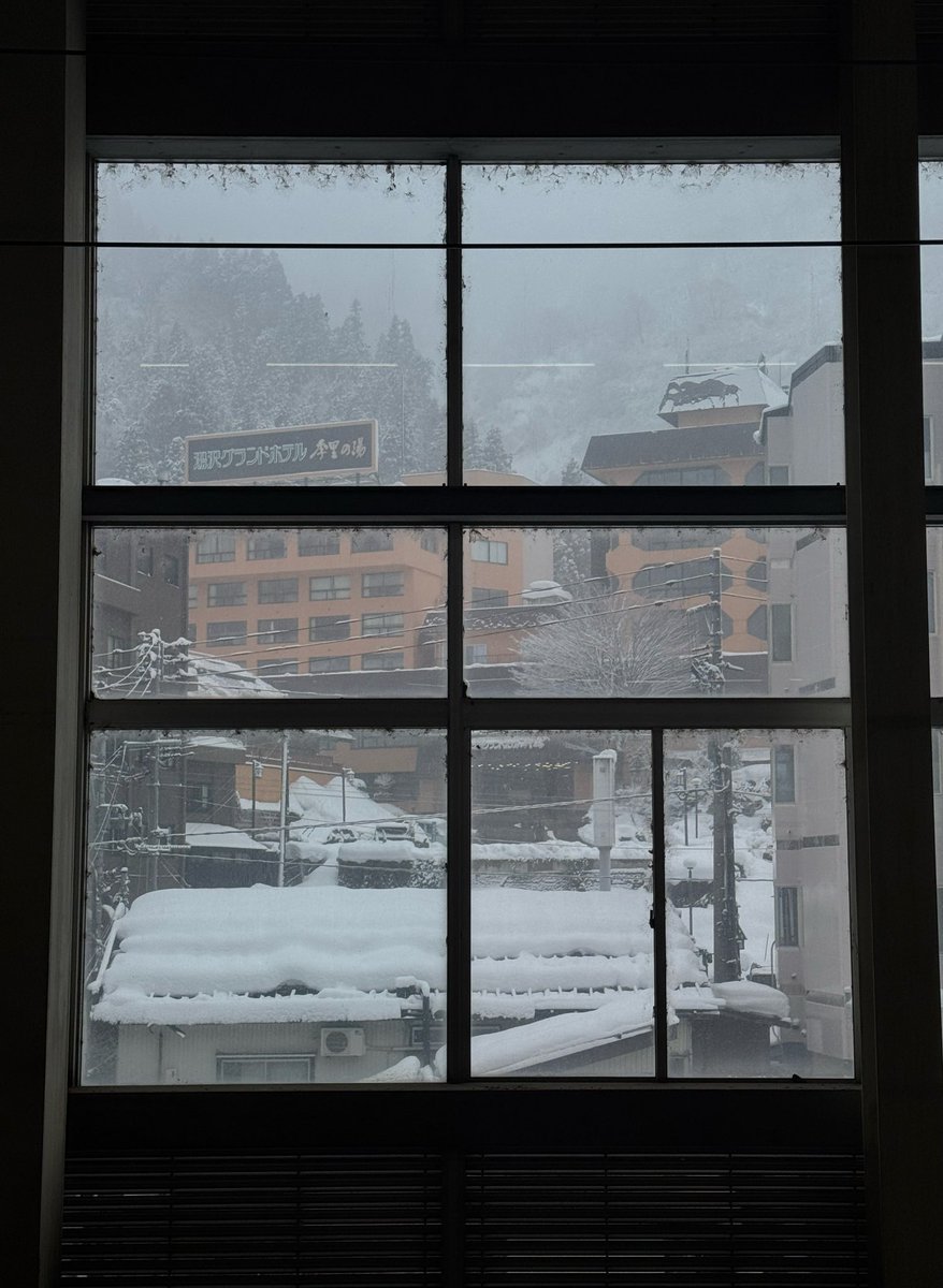 STAR TAMER tweet media