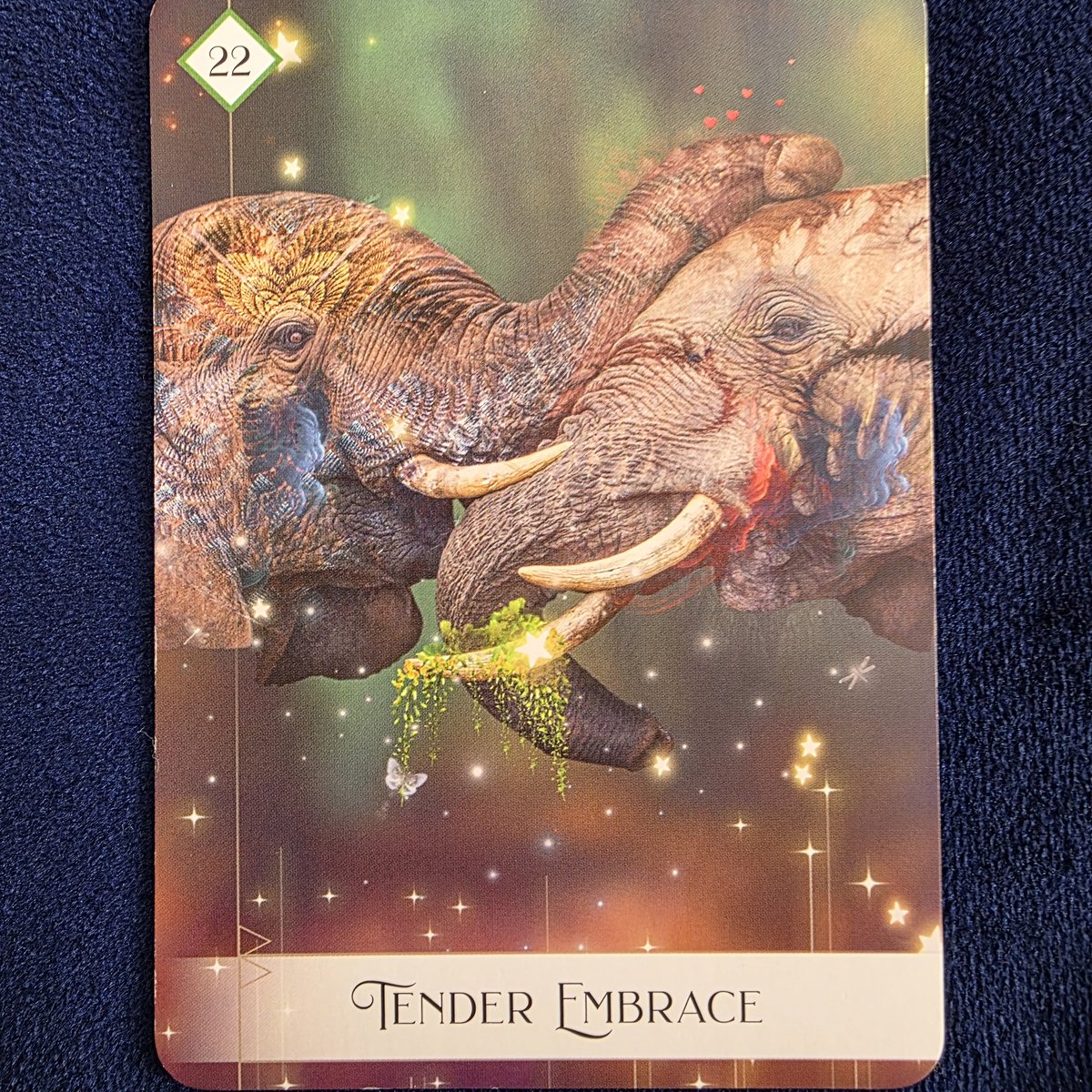 🌈ワンオラクル🌈

思いやり

周囲への理解力
共感能力は才能です
同じように御自身にも
思いやりを持って下さい
時間や気持ちを
他人に捧げ過ぎると
自分が後回しなります
思いやりはお互い様です
あれやこれやと指図する人とは
距離を取って下さい

とメッセージが届きました💖

素敵な1日を🍀