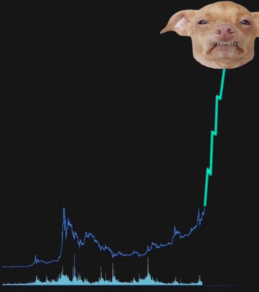 Dan Smith tweet media