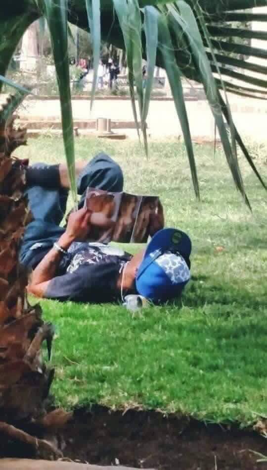 Mexicano de México 🇲🇽☠️ tweet media