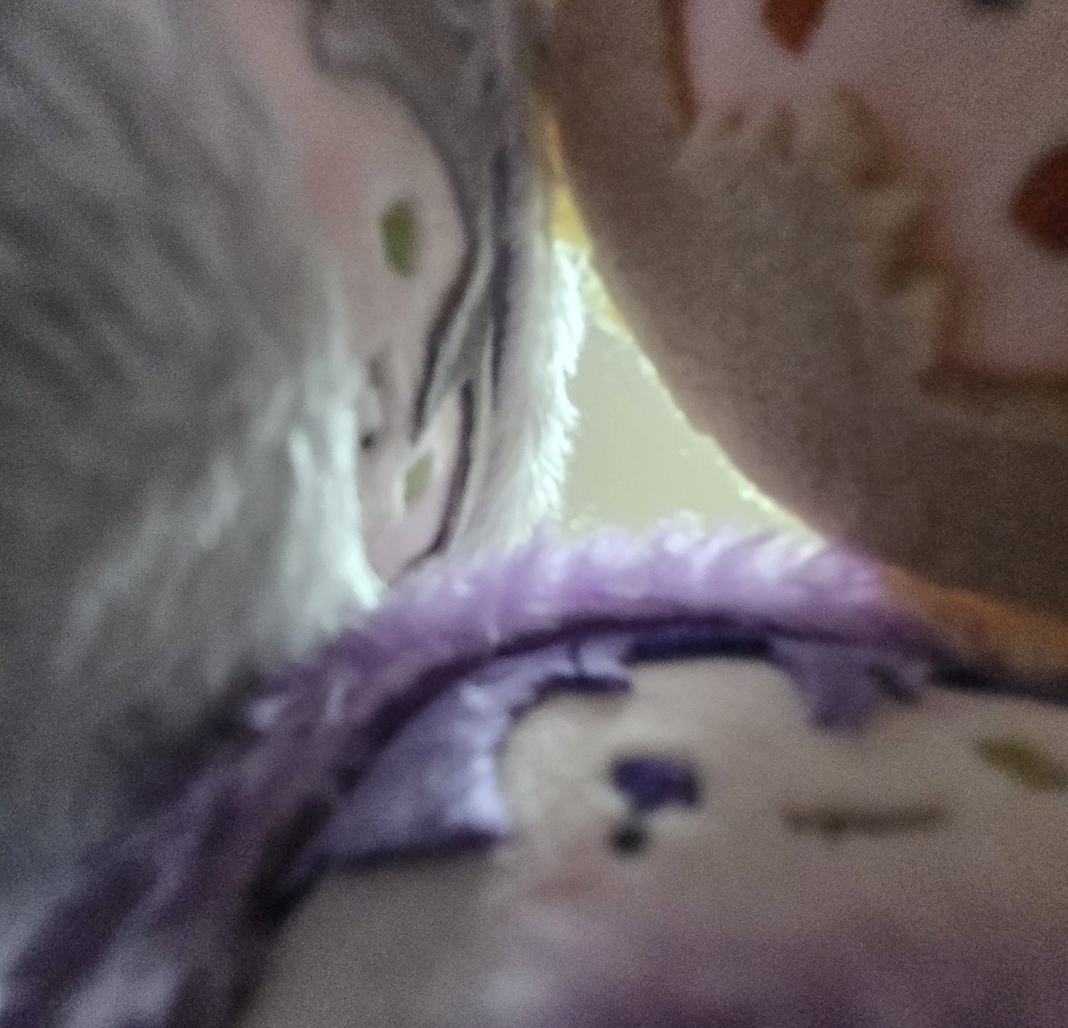 이거 너무 인생 역작이라서 다들 한번씩 보고가주세요
팀 할배즈