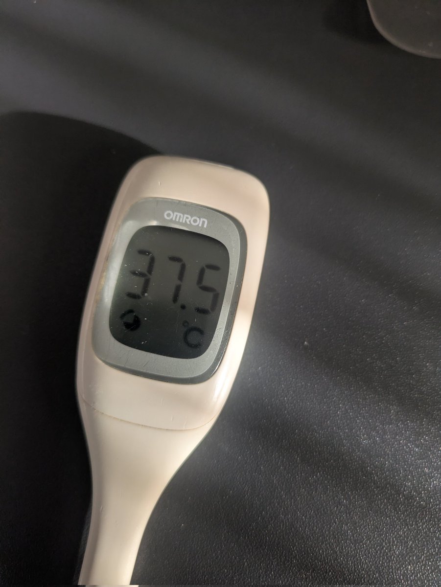 エンドフィールドやってて朝喉痛くて咳やばいなと思ったら案の定風邪引いた～