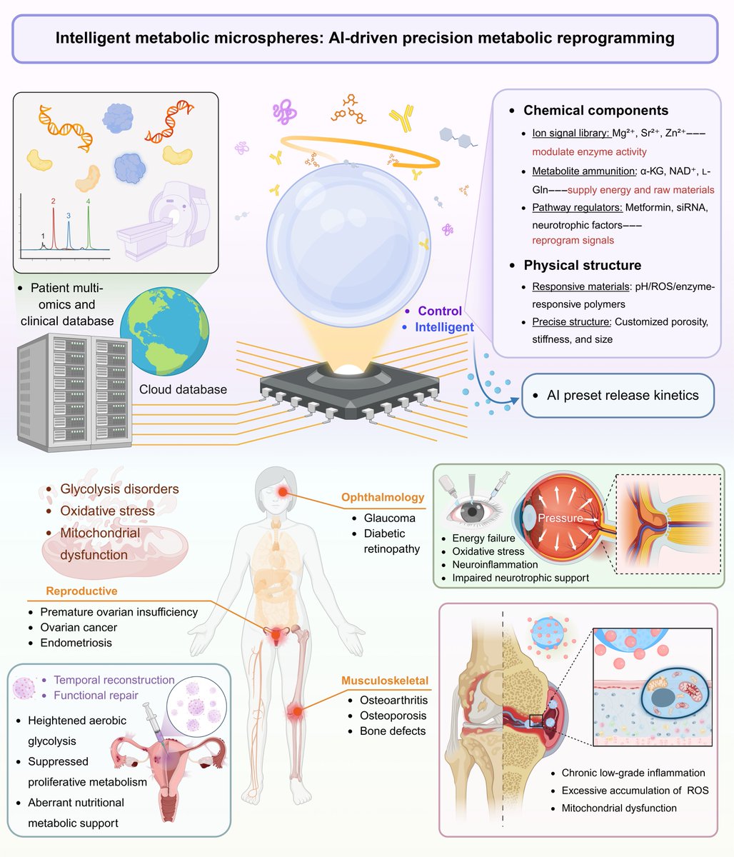 SPJournals's tweet photo. JUST PUBLISHED: Metabolism-Regulating Microspheres: Design Principles, Therapeutic Applications Across Multisystem Diseases, and Future Perspectives

Click here to read the latest free, Open Access article from Research: https://t.co/SiHKX7X7Ts https://t.co/0P0pwTlkMC