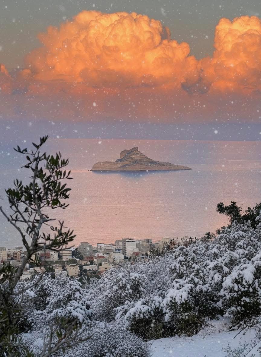 ᴀʜᴍᴇᴅʟᴀɴ☪︎ɪᴇɴ tweet media