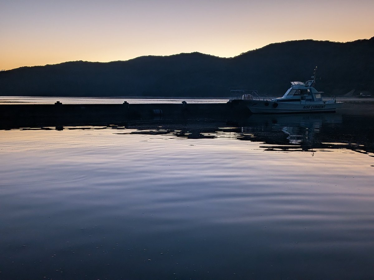 林健二 (@884kenji_office) / Posts / X