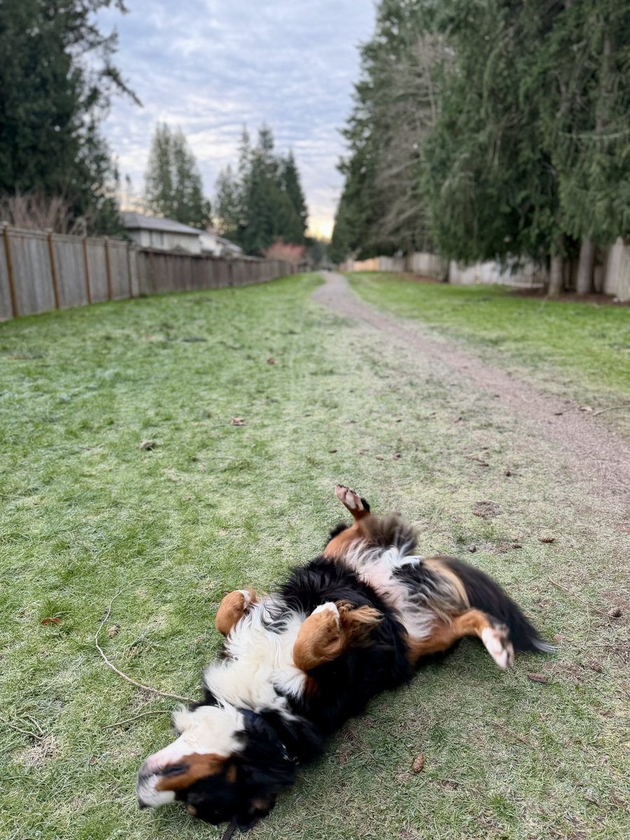 独占ぽんぽん禁止法？

パピーの頃から家でも外でも晒しまくってるからセーフだ