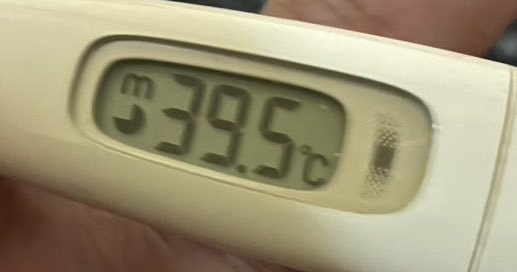 jk_dogma's tweet photo. 3日くらいずっと39℃から下がらず死にかけてた https://t.co/sJy7VXDBhL