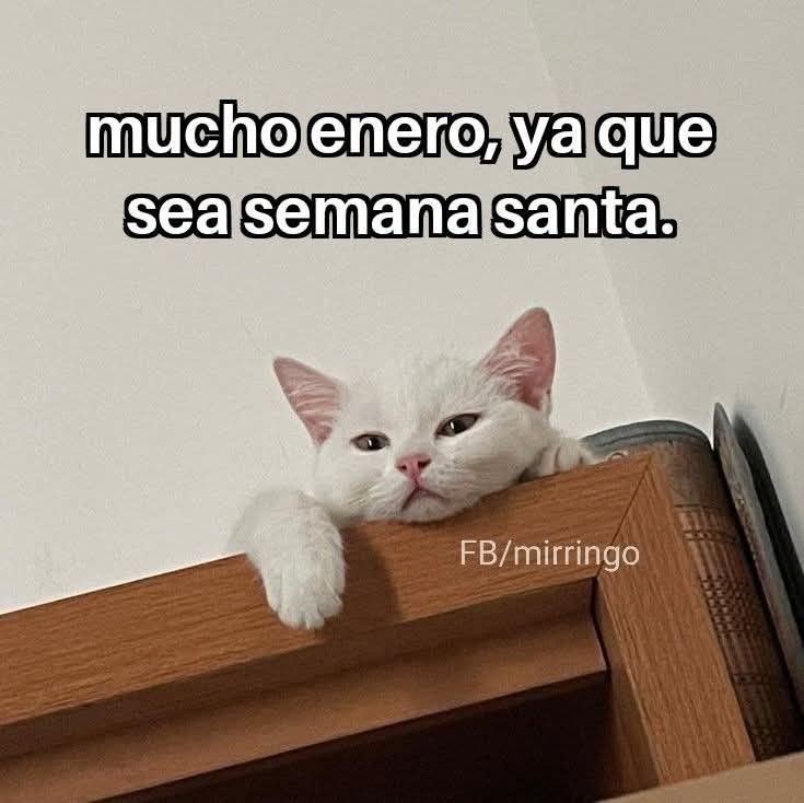 En Júpiter (@en_jupiter_) on Twitter photo 