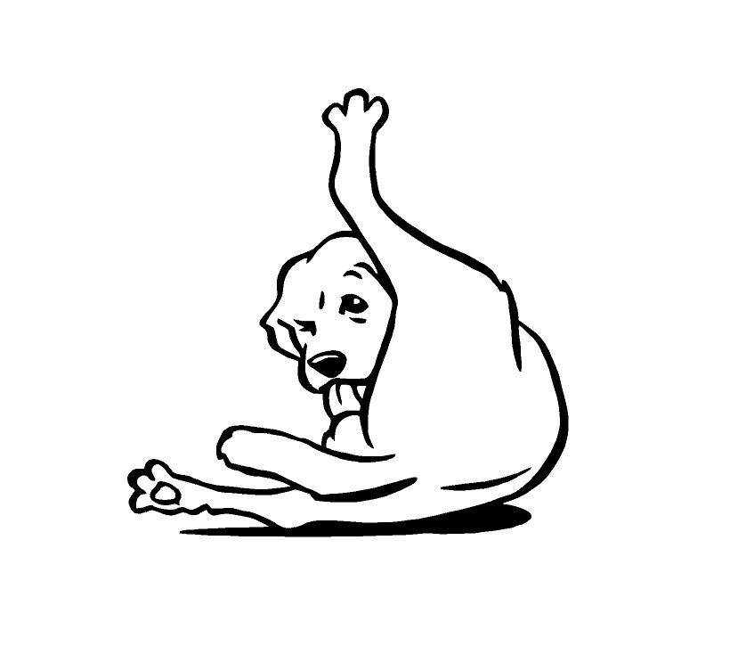 Atakan Y | Zentra Finance tweet media