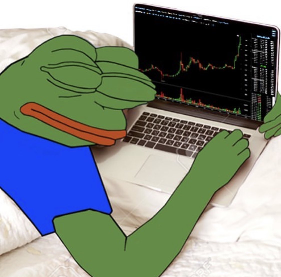 Zaka Crypto🐸 tweet media