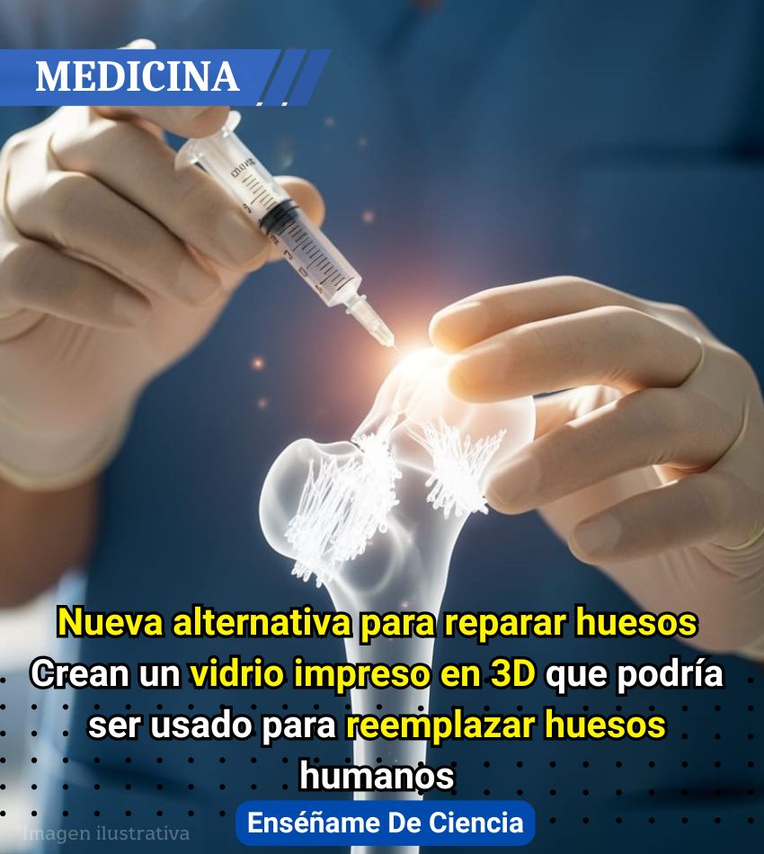EnsedeCiencia's tweet image. 🔴Un nuevo avance maravilla a la comunidad científica: han desarrollado un vidrio en 3D que podría revolucionar la cirugía ortopédica. Ya que dicho material sería capaz de reemplazar los huesos en humanos.