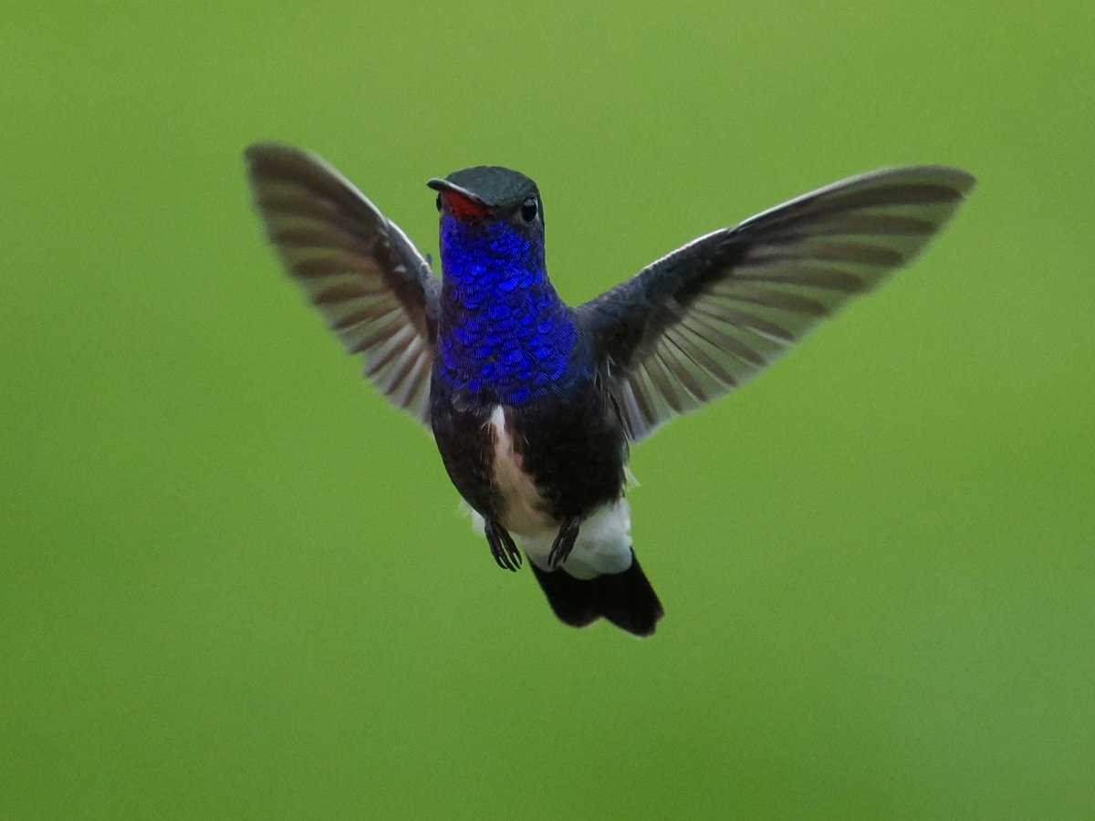 Rob Rackliffe tweet media