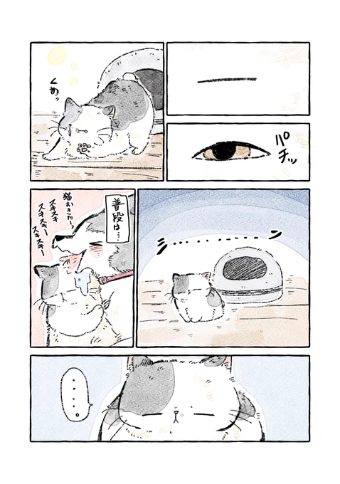 お留守番中の大福(1/2) 