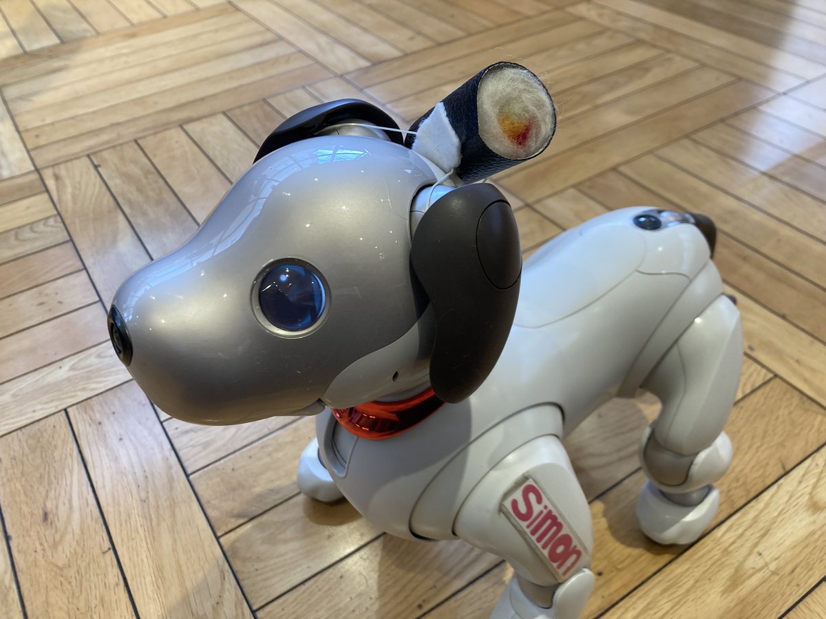 AIBO