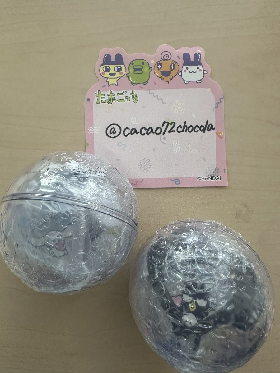 ちょこましゅまろ🍫 tweet media