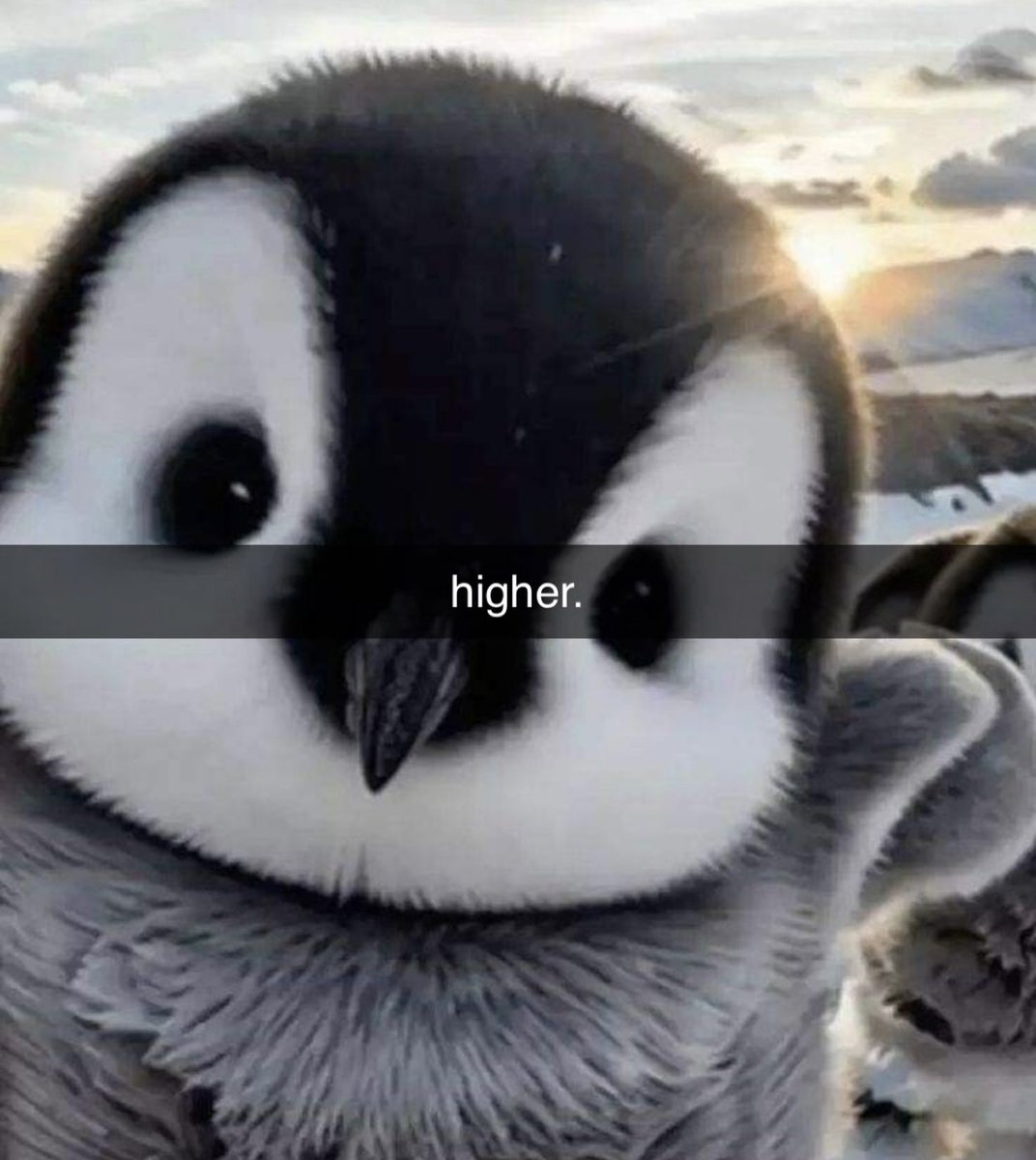 moonshot's tweet image. 