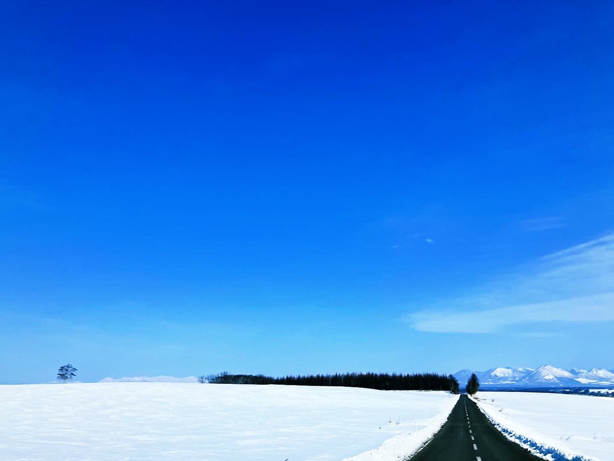大好きな仲間が産休に入るので協働を振りかえり！一緒にやれてうれしいなぁをちゃんと定期的に言葉にするの大事だな。変わり続けることをたのしむきもちや、それでも変わらず大切にしたいこと、自分の今やこれからのこと、誠実に一生懸命なあり方に学び、気づきの多いよき時間でした…感謝＆祈安産！