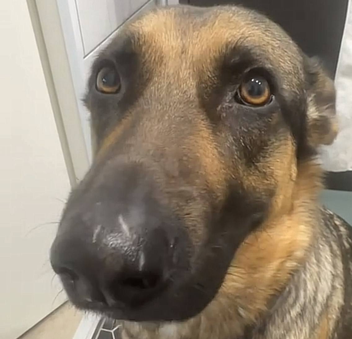 onchainquantum tweet media