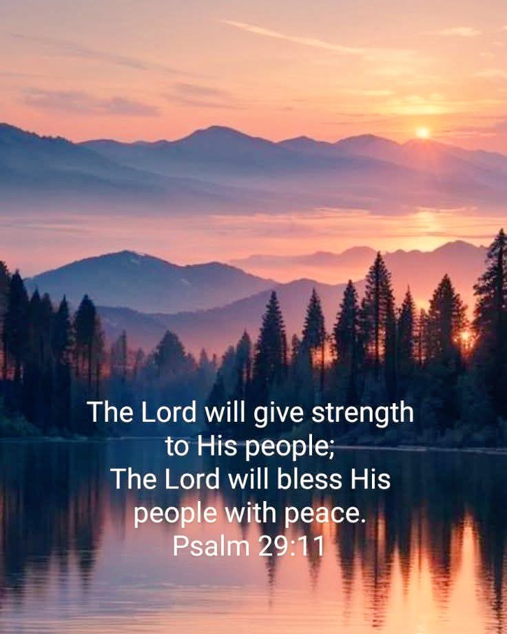 AnnieMK6101's tweet image. Psalm 4:8 🙏✝️🕊️
"I will both lie down in peace, and sleep; For You alone, O Lord, make me dwell in safety."