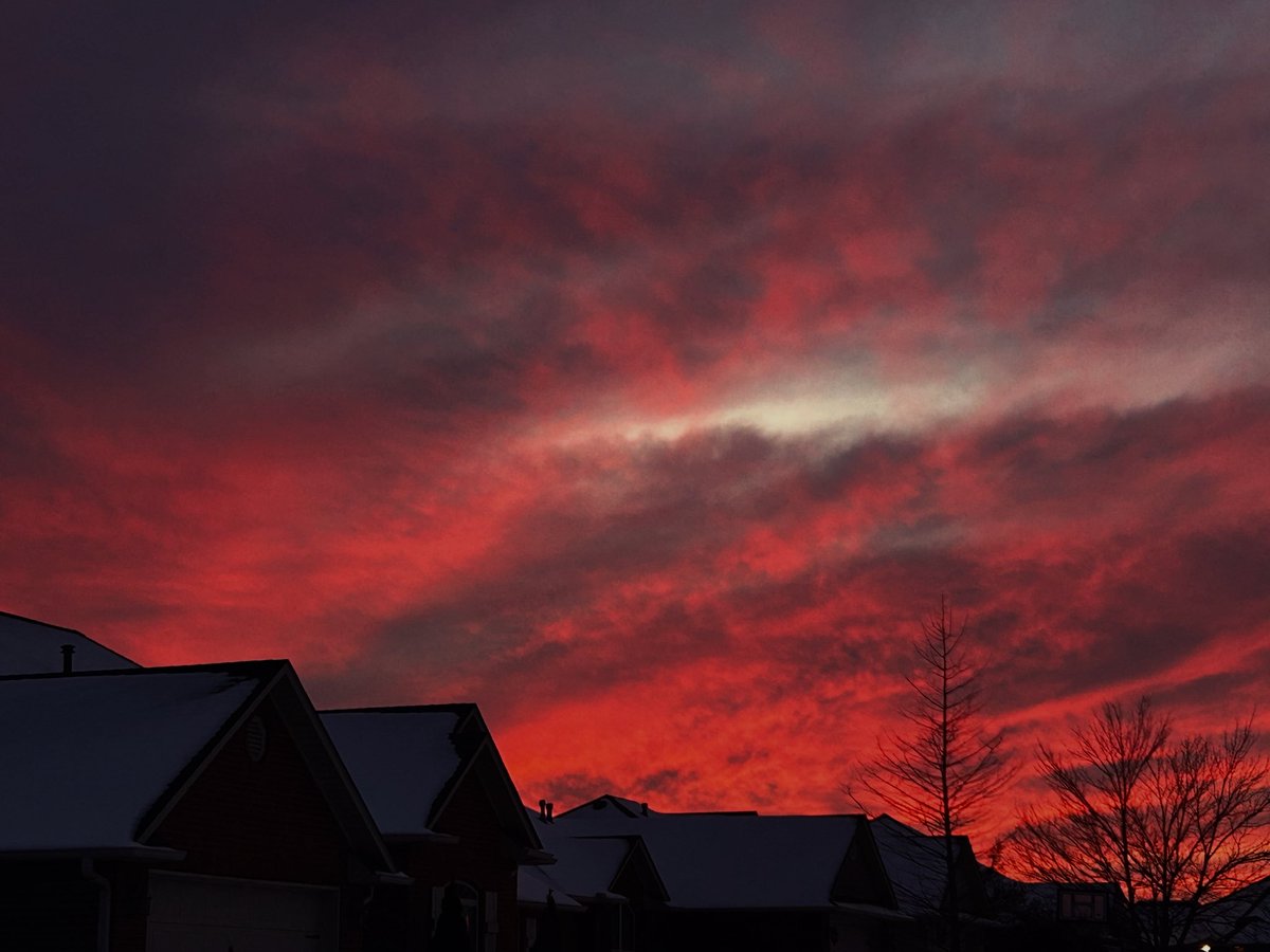 Aaron Logan Ray (@turkeylegsray) on Twitter photo 