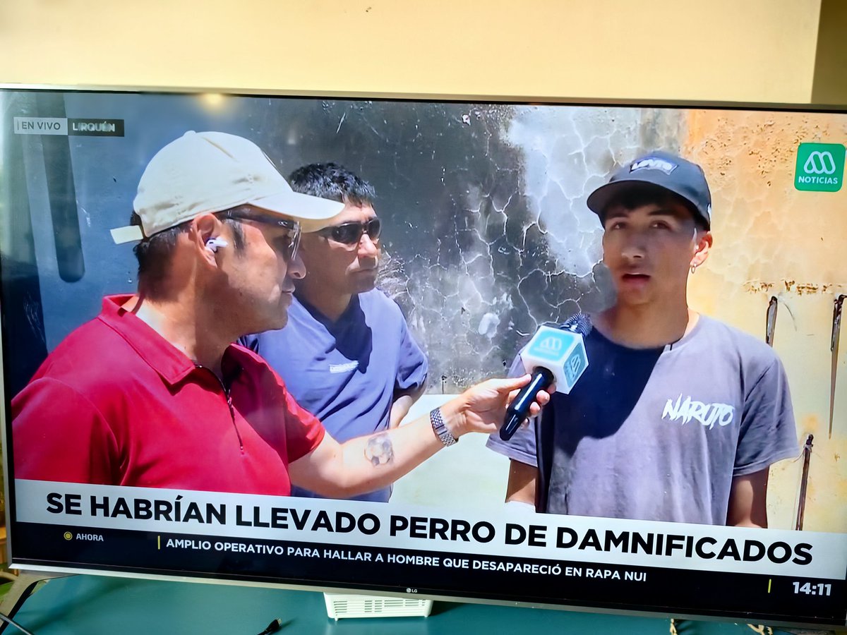 Mamá Lechuza 🦉 tweet media