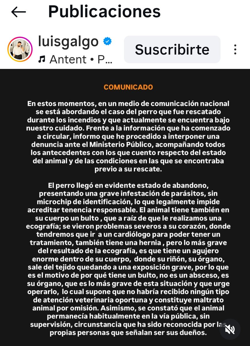 mamalechuza's tweet photo. No tiene todos estos problemas por los incendios, sino por dueños irresponsables! https://t.co/jFTfqERTez
