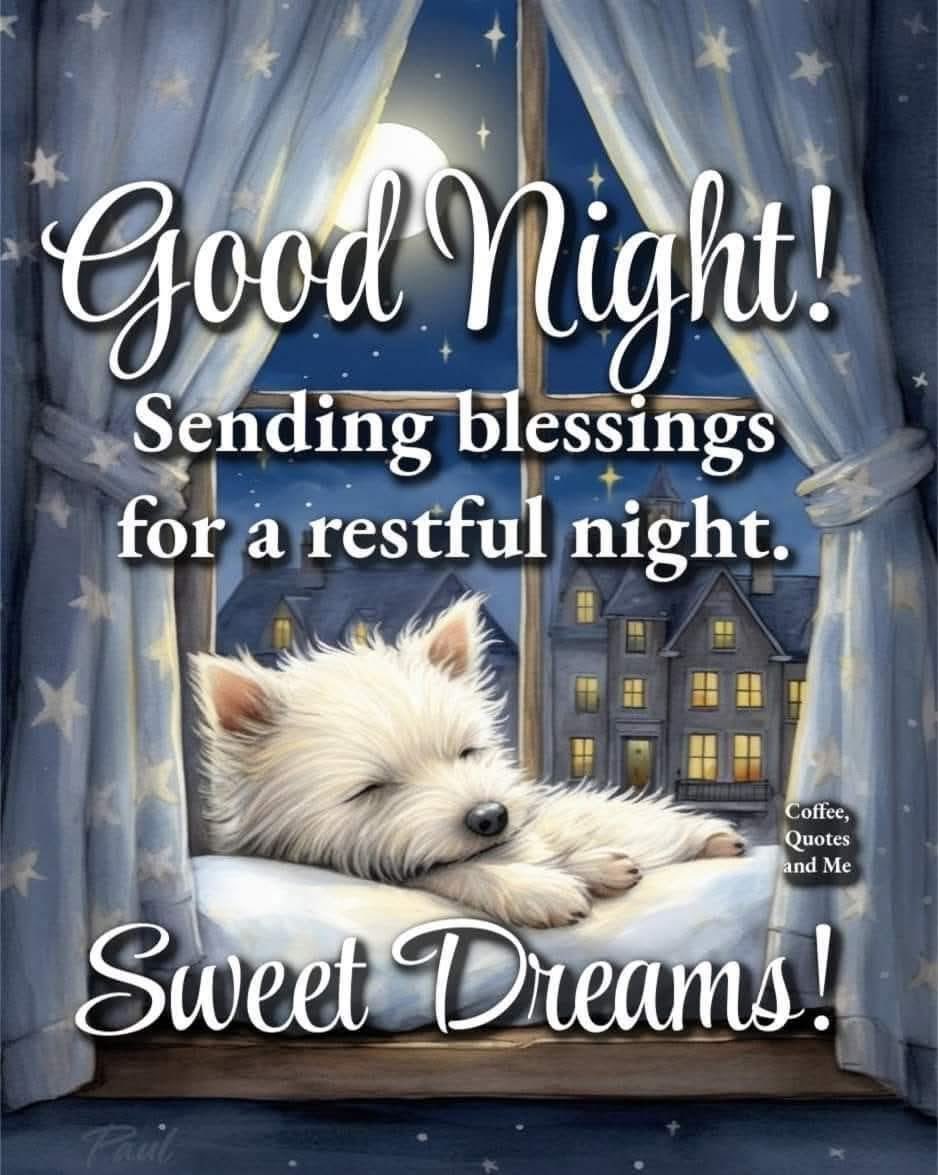 ▶︎ Good night Sweet dreams (you) Good Night Sweet Dreams | Bob The Train Cartoons | Kids Songs by