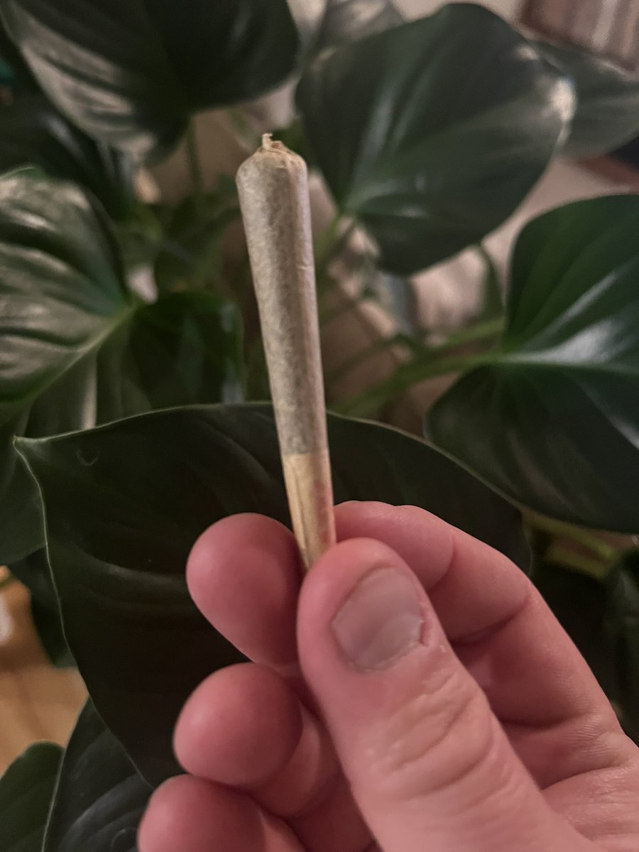 BBBubbz👨🍳😶🌫️🎮 tweet media