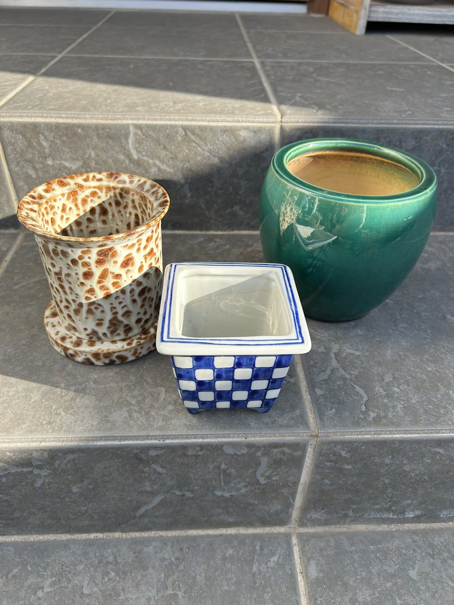 獅子座のtaka♌︎ (@theLionLeo0724) / Posts and Replies / X