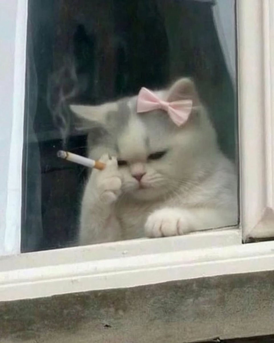 lou3579ha's tweet image. 