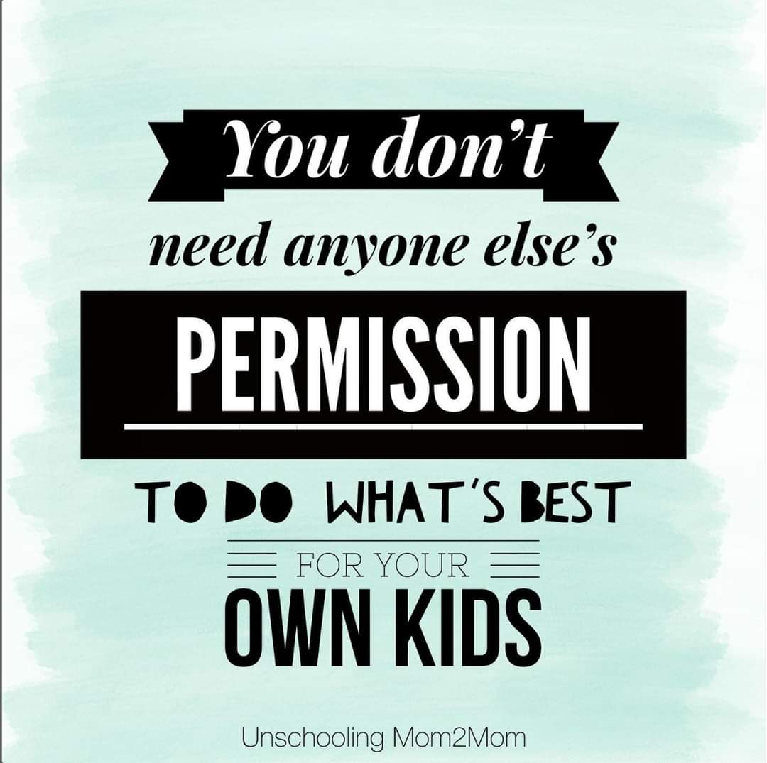 SaintNomadic's tweet image. Homeschooled 7th grader opted in to state testing this year. He hit 95th percentile in Language,97 in reading and 89th in math. 
Not because I am a good teacher, but because we were able to teach to his style of learning.
#SchoolChoice 
#Homeschool