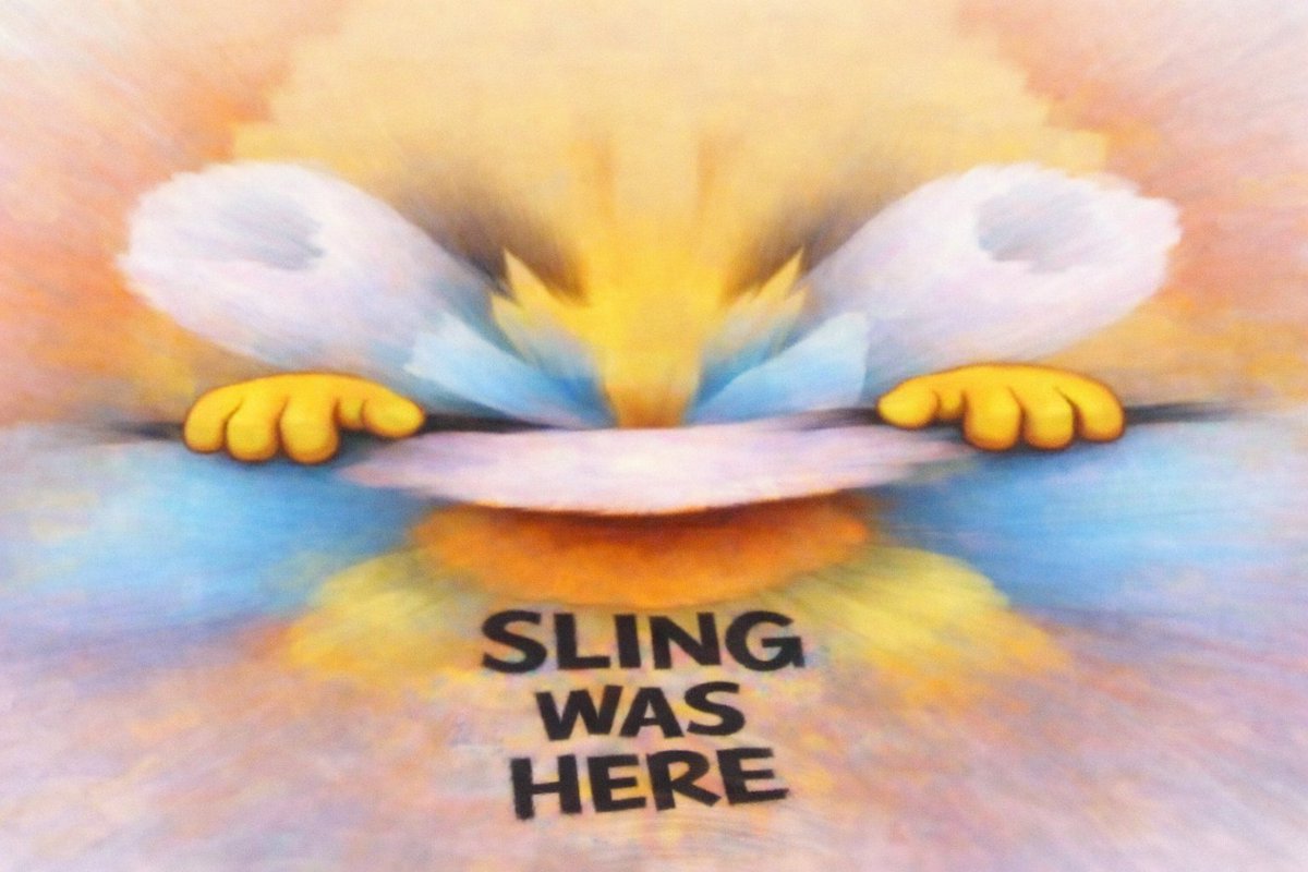 Wonderjens tweet media