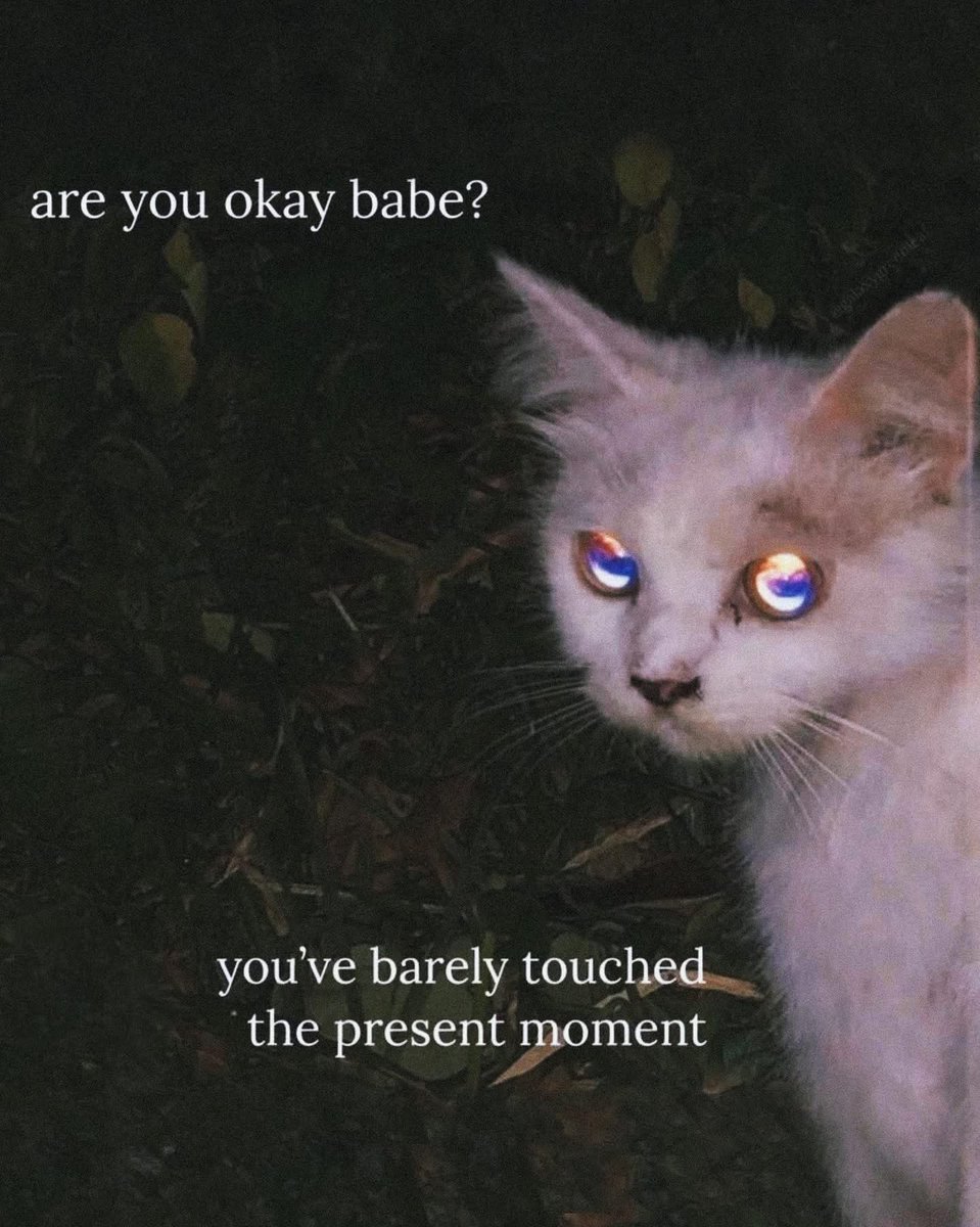 Seven (@sagomini) on Twitter photo 