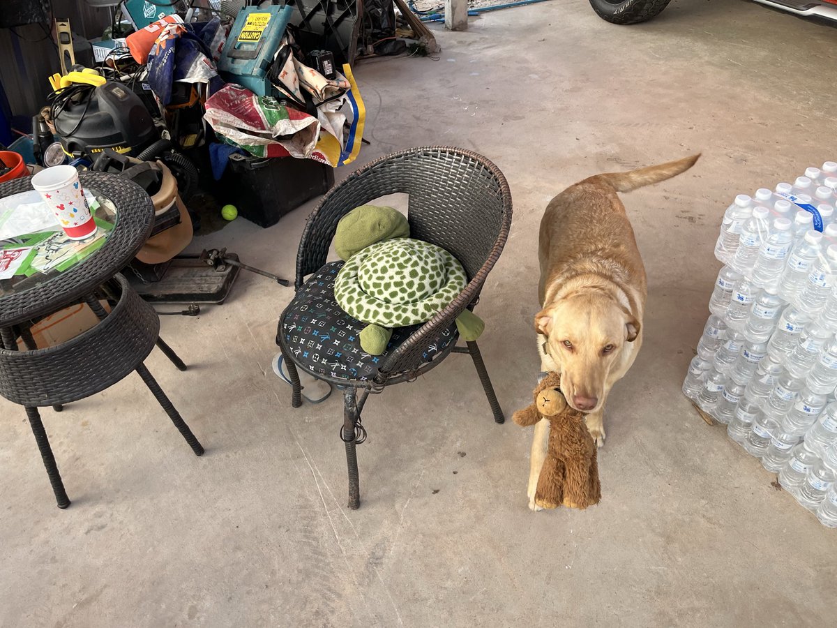 𝙼𝚞𝚕𝚕𝚎𝚝𝙵𝚊𝚛𝚖 tweet media