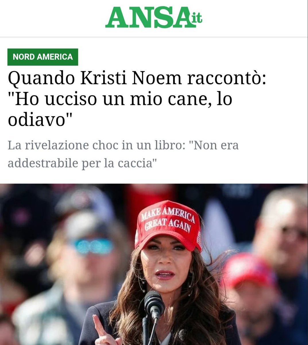 Max Collini tweet media