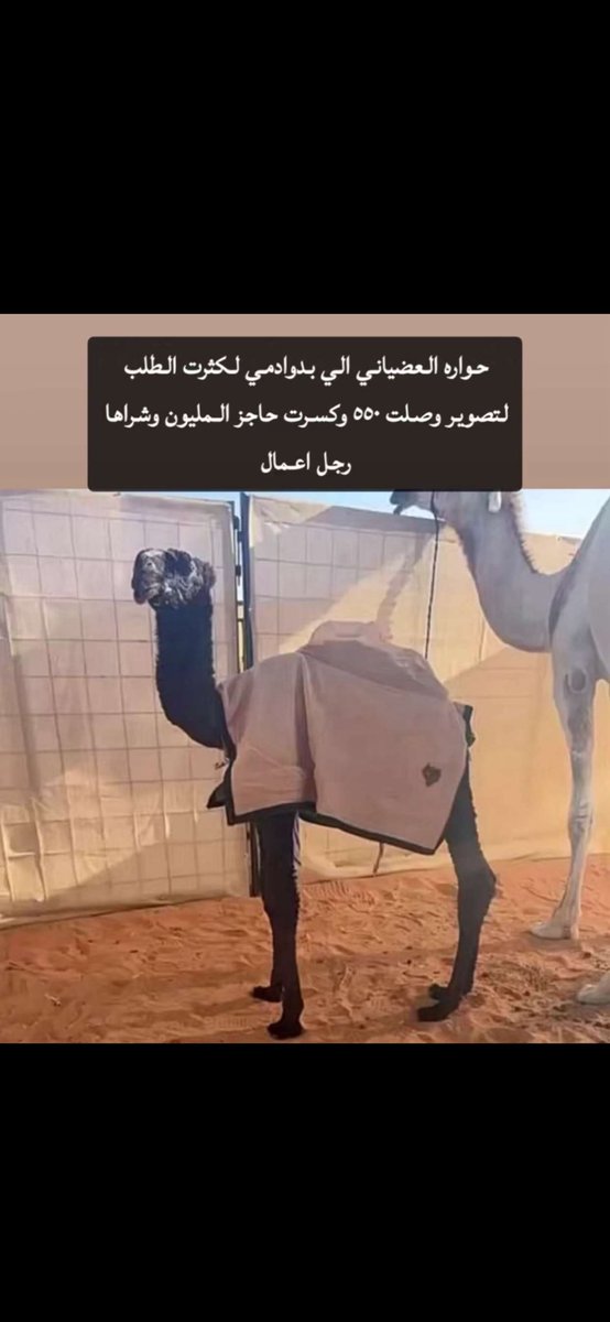 7__ou's tweet photo. وش ابوها https://t.co/mCbiQ6ULMD