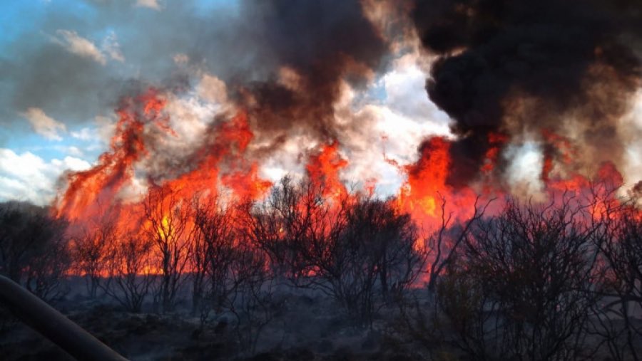 𝗣𝗿𝗼𝘁𝗲𝗴𝗲𝗿 𝗻𝘂𝗲𝘀𝘁𝗿𝗼𝘀 𝗿𝗲𝗰𝘂𝗿𝘀𝗼𝘀 𝗻𝗮𝘁𝘂𝗿𝗮𝗹𝗲𝘀 𝗱𝗲𝗯𝗲 𝘀𝗲𝗿 𝘂𝗻𝗮 𝗰𝘂𝗲𝘀𝘁𝗶𝗼́𝗻 𝘆 𝘂𝗻𝗮 𝗽𝗼𝗹𝗶́𝘁𝗶𝗰𝗮 𝗱𝗲 𝗘𝘀𝘁𝗮𝗱𝗼.

Y la acción para hacerla realidad será el trabajo articulado, 𝗺𝗮́𝘀 𝗮𝗹𝗹𝗮́ 𝗱𝗲 𝗹𝗮𝘀 𝗶𝗱𝗲𝗼𝗹𝗼𝗴𝗶́𝗮𝘀 𝘆 𝗱𝗲