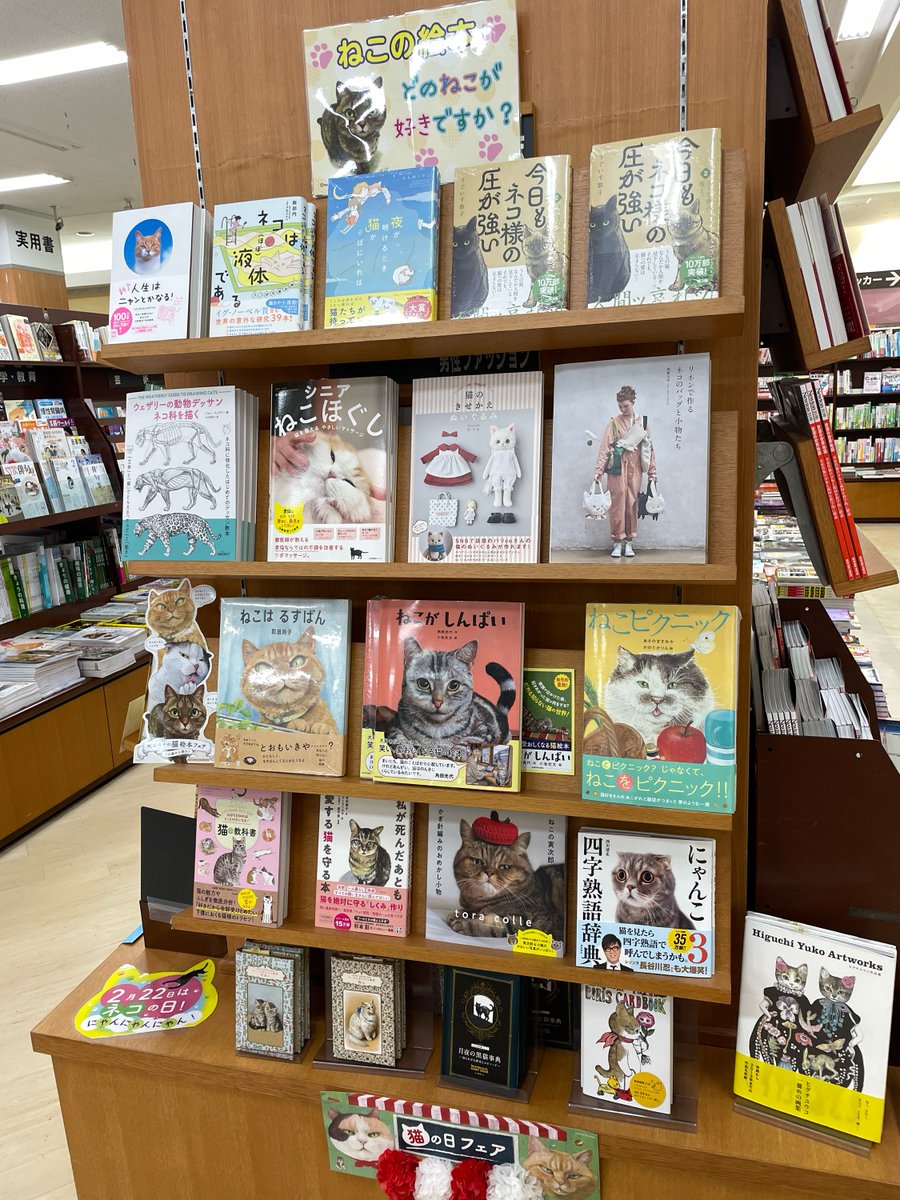 【ミニフェア開催中です】
もうすぐ２月。
２月はにゃー月、猫の月です。
絵本や手芸やポストカードブック、猫のケアの本などなど、あれこれ猫まみれの棚を作ってみました！
猫の好きな人も、そうでもない方も、ぜひ一度お立ち寄りください！