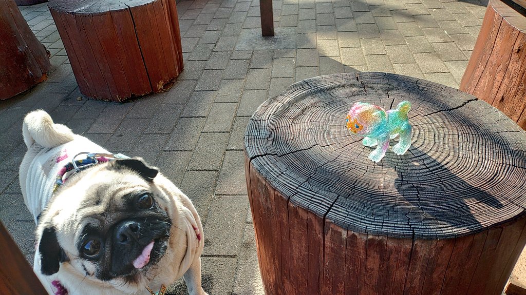 パグ獣🐶作った人→あきぱぐ🐶 (@pugchaa) / Posts / X