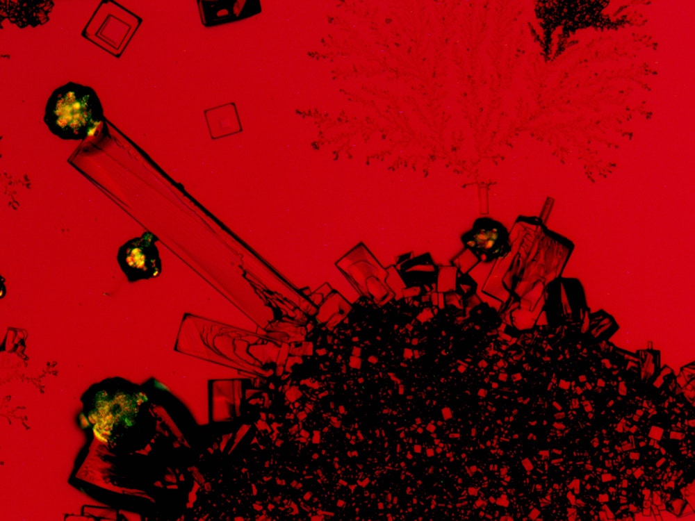 NCState's tweet image. Help us highlight the beauty and importance of research. 📸 NC State is calling on all students, postdocs, faculty and staff to take part in Envisioning Research, our annual research image contest. (And yes, there are cash prizes.) #ThinkAndDo

🔗 ncst.at/2uKA50Y4wNv