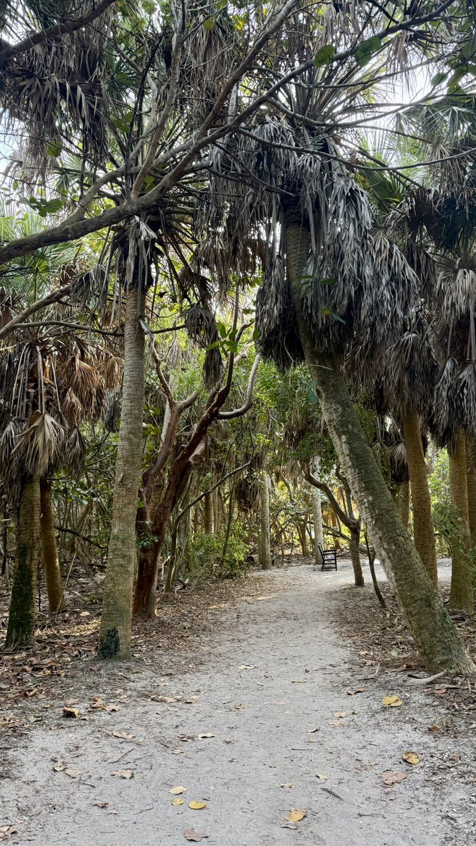 claire rogers tweet media