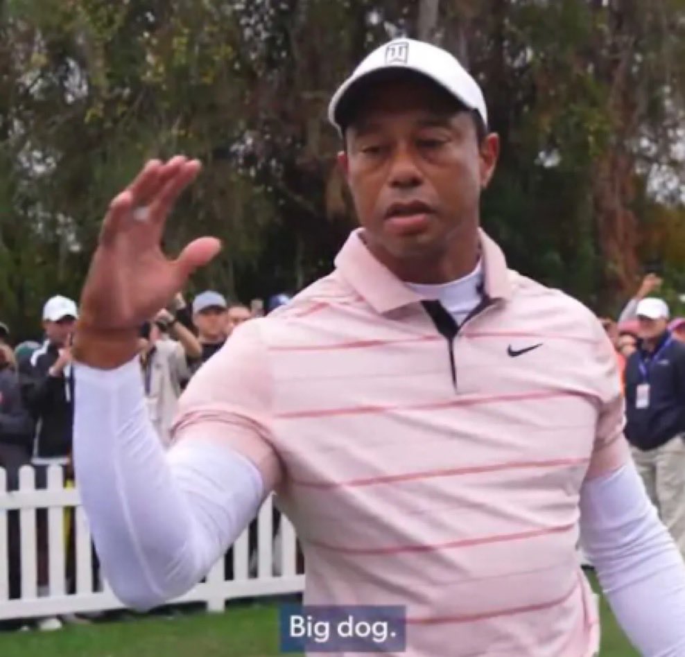 scripting. (@0xscripting) on Twitter photo 