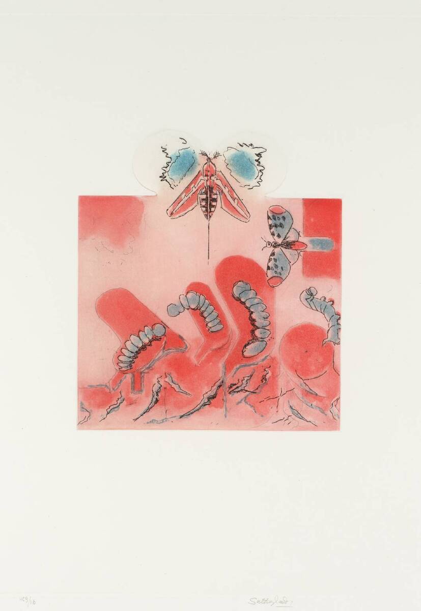 GVSutherland's tweet image. 8. The Caterpillar tate.org.uk/art/artworks/s…