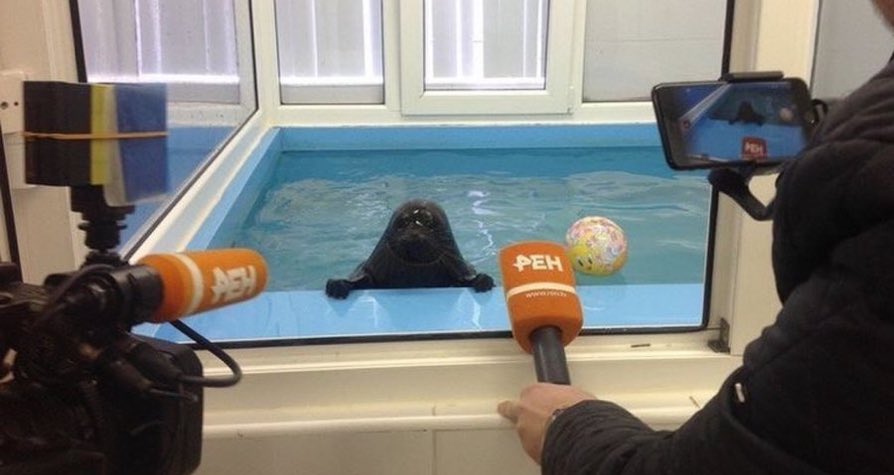 k .ᐟ tweet media
