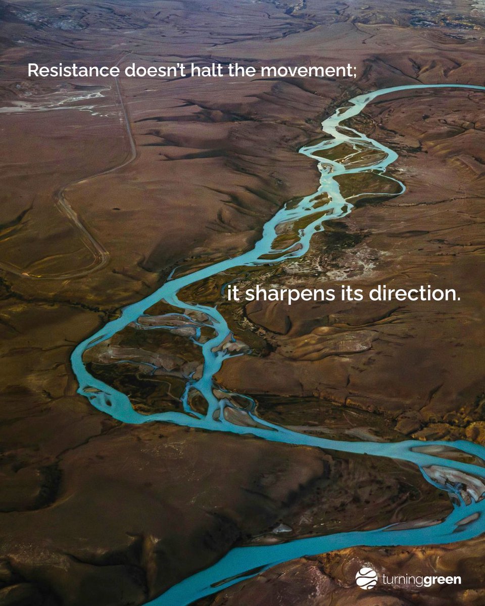 Turning Green tweet media