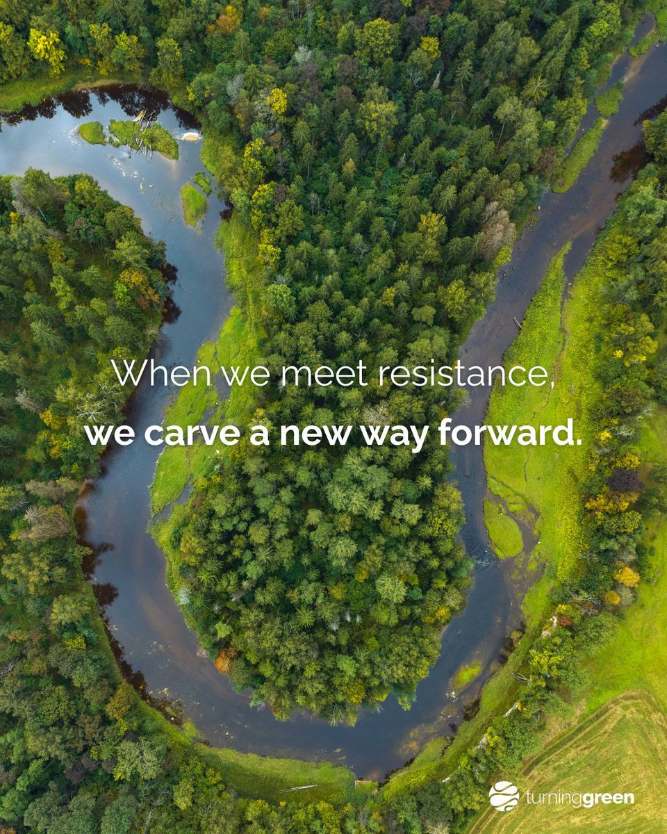 Turning Green tweet media