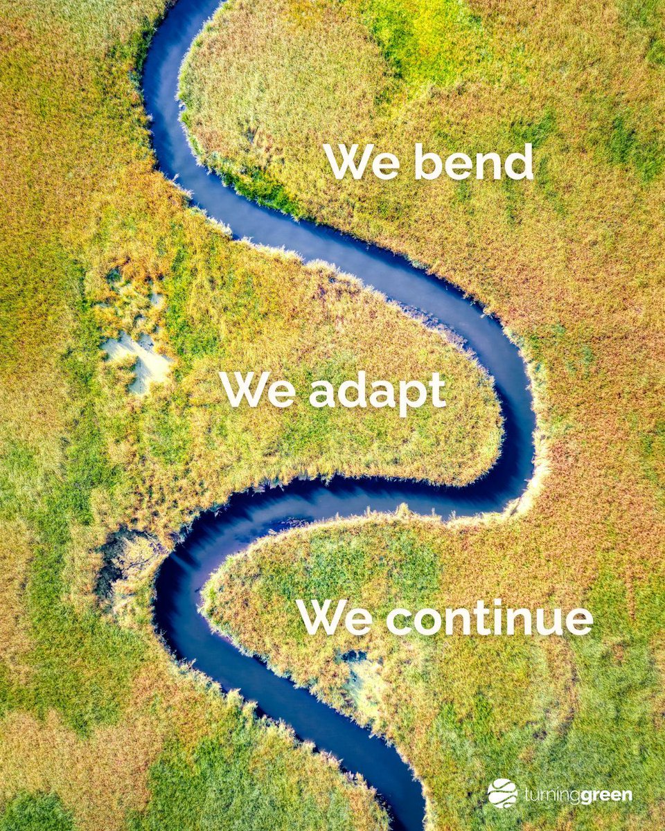 Turning Green tweet media