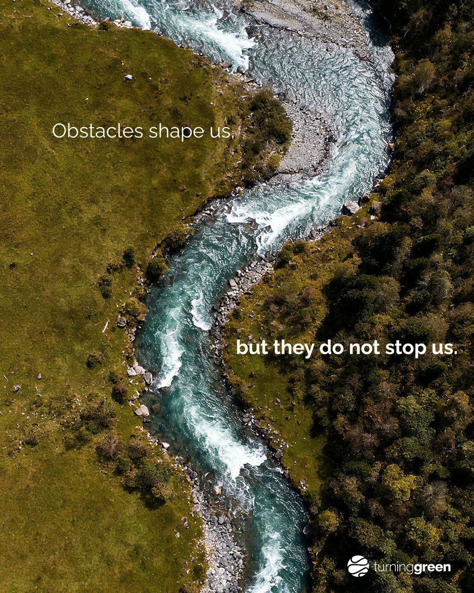 Turning Green tweet media