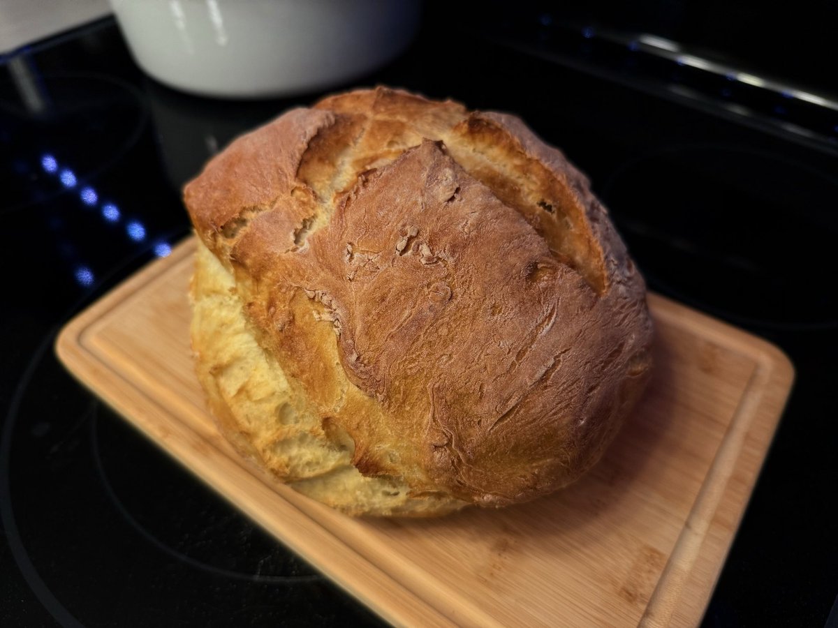 phloggie 🇨🇦 tweet media