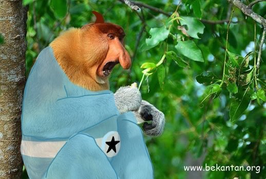 rodanicactive's tweet image. #RocketMonkeys if it was good